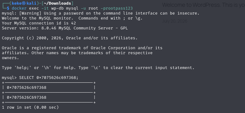 MySQL converting the hexadecimal literal into the string publish.